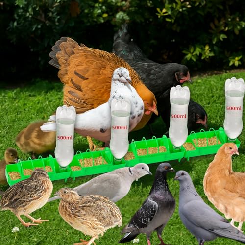 4 Pack 2-in-1 Chicken Feeder and Waterer Kit, Spliceable No Waste Quail Feeder Automatic Waterer, Chick Coop Accessories for Chicken, Ducks, Quail and Pigeons - color: Green