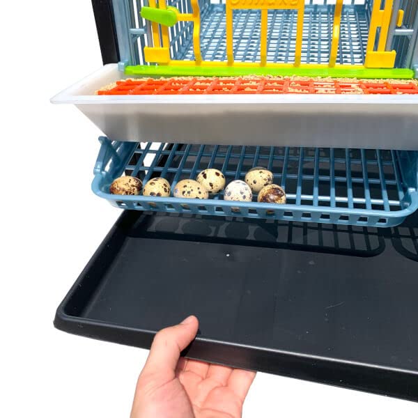 Full Layer Droppings Tray – Fits Hatching Time (Full Layer) Chick Brooders, Grow Out Pens, and Breeding Cages, Easy to Clean, Lightweight,PP Plastic (Polypropylene), Cimuka, Durable, 3lb