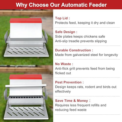 25lbs Automatic Chicken Feeder-Metal Treadle Poultry Feeder, No Waste Rat Proof Chicken Feeder with Sturdy Galvanized Steel Build and Weatherproof Locking Lid for Duck, Fowl, Pheasant Outdoor