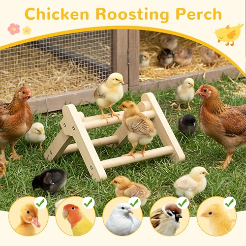Innoland Chick Perch Foldable, Chick Toys Stable & No Assemble, Baby Chick Toys for Stand Training, 8.27" × 7.68" × 4.92" Roosting Perch for Chicks Brooder | Coop (S) - size: 8.27" × 7.68" × 4.92"