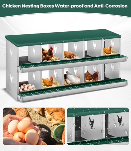 Garvee Chicken Nesting Box, 10 Compartment Metal Nesting Box,Wall Mount Chicken Nesting Boxes for Laying Eggs,Easy Egg Collection,10 Room Nest Boxes for Chickens - size: Green 10 Compartment