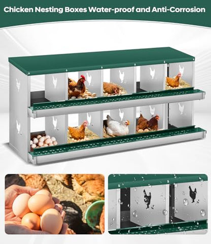 Garvee Chicken Nesting Box, 10 Compartment Metal Nesting Box,Wall Mount Chicken Nesting Boxes for Laying Eggs,Easy Egg Collection,10 Room Nest Boxes for Chickens - size: Green 10 Compartment