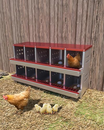 Galvanized Metal Chicken Nesting Box - 10 Compartments with Perch Rod, Egg Collection Tray & Fake Training Eggs - Rustproof Poultry Laying Box for Hens - color: Red, size: 10 Compartments