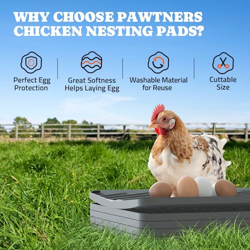 Pawtners Chicken Nesting Pads for Coop Bedding, Washable Nesting Box Liners for Chicken Laying Boxes, 12"x 12", 6 Pack - color: Grey - 6Pack