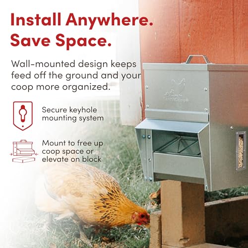 RentACoop Metal Trough Feeder with Lid & Rain Cover – Galvanized Steel, Gravity-Fed, Side View Window, Adjustable Grate for Easy Cleaning, Suitable for Chickens, Ducks, Poultry & More – 10lb Capacity - size: 10LB Capacity