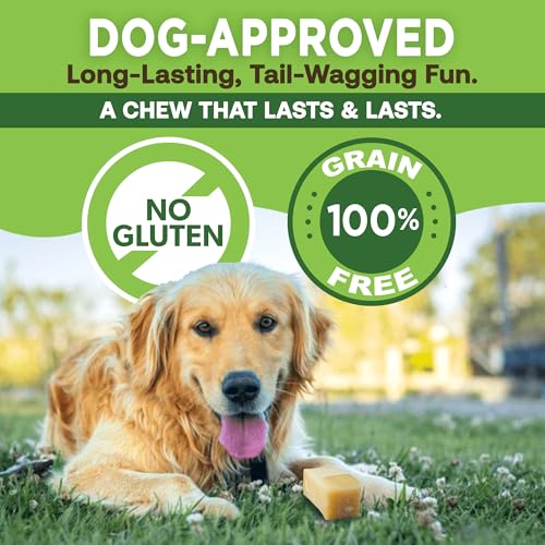 EcoKind Yak Cheese Himalayan Dog Chews, Yak Chews for Large Dogs, Long Lasting Bone for Aggressive Chewers, 3 Ingredients, Natural High Protein Treats, No Additives, Lactose Free, Large 1lb, 4-5 Chews