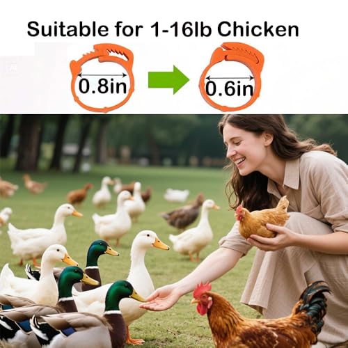 Adjustable 150 pcs Chicken Leg Rings 0.6-0.8in Numbered Chicken Identification Duck Leg Bands for Chicks Pigeon Duck Goose Gamefowl Turkey Clip on Legs Durable Color Poultry Leg Bands 16-20mm