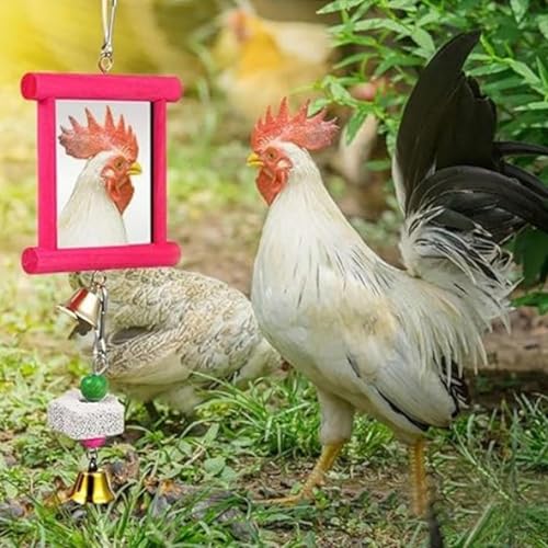 Chicken Toy Mirror Beak Grinder | Safe Multi-Functional Chicken Enrichment Toy for Roosters and Hens, Mirror and Beak Grinding Tool for Garden, Farm, Backyard & Outdoor Entertainment