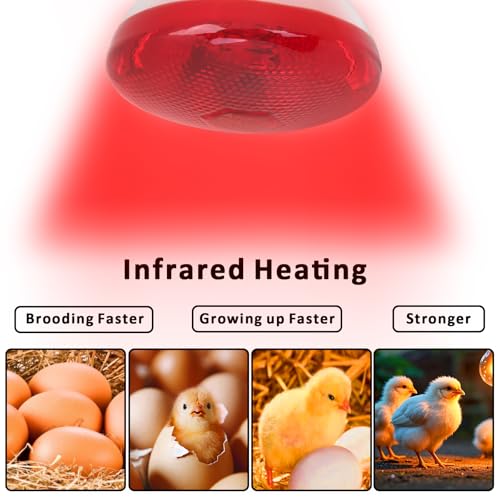 Aiicioo Infrared Heat Lamp Bulb 250W Red Infrared Heat Bulb for Chickens Reptile Heat Light Bulb for Brooder Coop Chicks Pet Reptile Amphibians Par38 Glass E26 Base