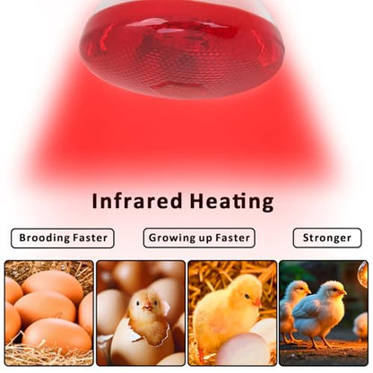 Aiicioo Infrared Heat Lamp Bulb 250W Red Infrared Heat Bulb for Chickens Reptile Heat Light Bulb for Brooder Coop Chicks Pet Reptile Amphibians Par38 Glass E26 Base