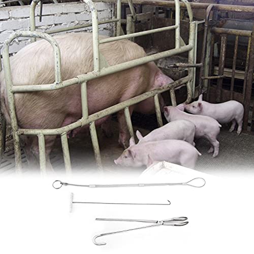 Zerodis Pig Midwifery Tools Set, Stainless Steel Veterinary Midwifery Rope Pliers Hook Pig Breeding Equipment Livestock Tool(3pcs)