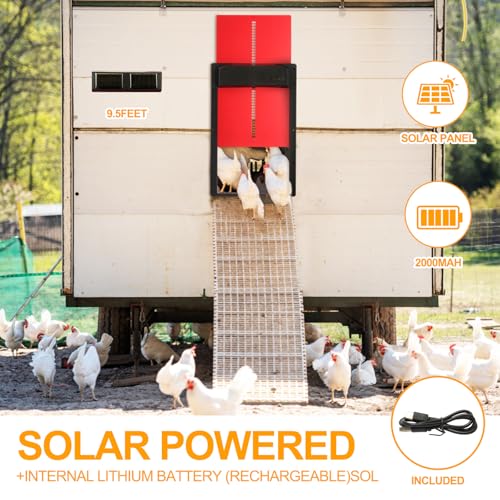 Automatic Chicken Door by COWEHUN - Solar Powered & USB Rechargeable Chicken Coop Door with Dual Remote Controls, Aluminum Alloy Design, Solar Powered, 10M Range for Poultry Farmers & Enthusiasts