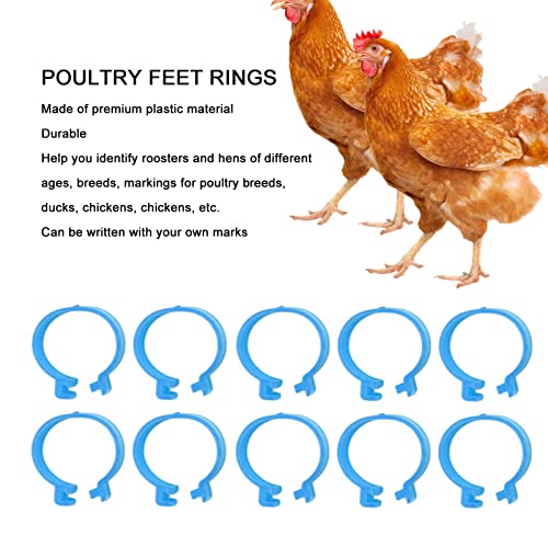 100Pcs Poultry Foot Ring Chicken Bird Duck Identification Leg Bands Open Type Buckle Chicken Ankle Rings (25mm) - size: 25mm, style: 25mm