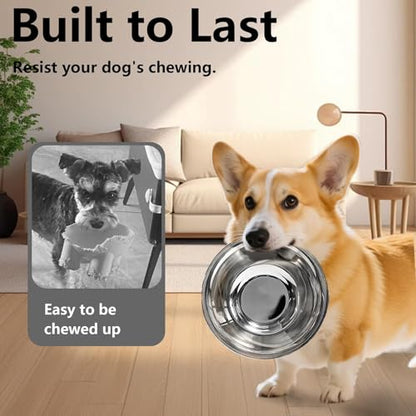 kathson 2 Pack Stainless Steel Dog Bowls, Dog Water and Food Bowl Set, Metal Puppy Bowls, Pet Dishes for Small Dogs and Cats - color: Silver, size: 2cups