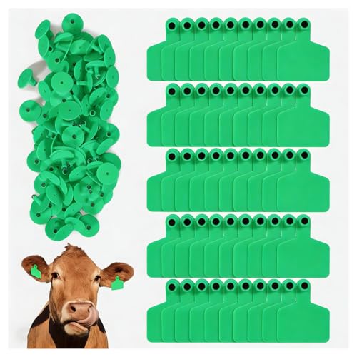 100 Blank Cattle Ear Tags | Large Plastic Precision Animal Identification Blank Livestock Ear Tags | Suitable for Farm Management of Cattle, Horses, Dogs, Pigs, Goats, and Sheep Green - color: Green