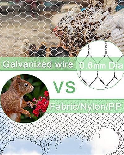 Garden Poultry Chicken Wire Netting - 36 '' × 50 ' Garden Fence Animal Barrier, Chicken Wire for Crafts, 1 inch Mesh Poultry Netting Fence, Pet/Rabbit/Chicken Wire Fencing - size: 36 inchx50 Ft