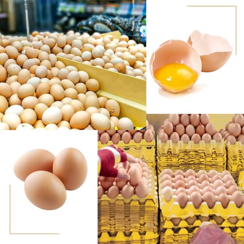 20 Flats 30-Cell Egg Crate?Holds 30 Eggs?, Cardboard Egg Cartons, Sturdy and Stackable Egg Flats, Perfect Egg Crates for Fresh Eggs, Chicken Farm - size: 20 Pack yellow