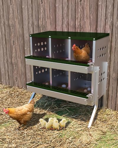 Chicken Nesting Box, 6 Compartment Roll Away Laying Box for Hens, Heavy-Duty Galvanized Steel, Front Egg Collection Tray, 6 Training Eggs Included - color: Green, size: 6 Compartments & 6 Eggs