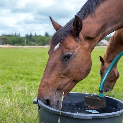 Water Trough Float Valve Livestock Stock Tank Float Valve for Water Tank of Pond Farm Livestock Cattle Goat Horse Pool,2PCS Automatic Control Waterer Level with Hose Connector - style: Stock Tank Float Valve with Connector-2PCS