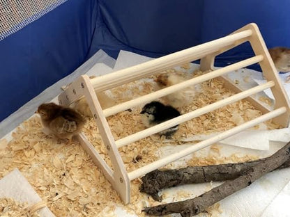 Chick Perch Chicken Coop Toys and Accessories,Chick Roosting Bar,Brooder for Baby Chicks,Strong Wooden Bird Perch. (Style 2, 14.4" x 10.7" x 6.7) - color: Style 2