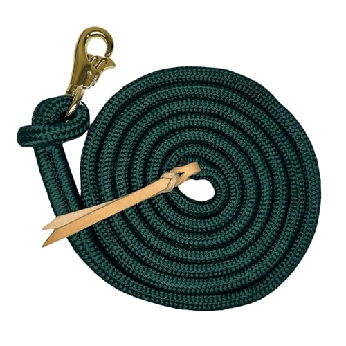 Kensington Ballistic Nylon Clinician Training Lead - 15" ft Training Lead - Tear-Resistant, with Metal Hardware to Keep Lead Fastened - Heavy Duty Braided Lead with Quick Swivel Snap - color: Hunter Lead w/Gold Snap, size: 15'