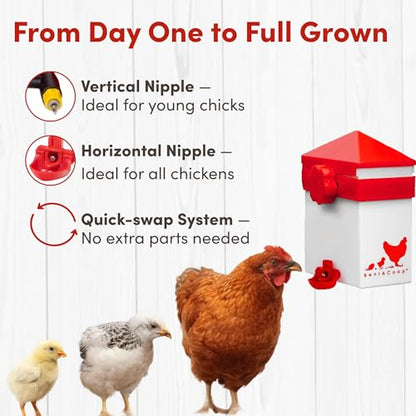 RentACoop 64oz (2 Liter) Chicken Drinker with 2 Versatile Nipples - Ideal for Baby Chicks, Quail, Small Birds, and Ducklings - Easy-to-Use Chicken Waterer Solution - Ideal for Coops and Cages