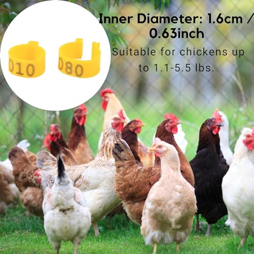 Poultry Leg Bands, 6 Colors 100PCS/Bag 16MM 001-100 Numbered Plastic Poultry Chickens Ducks Goose Leg Bands Rings for Chickens Gamefowl Turkey Duck Goose(Yellow) - color: Yellow