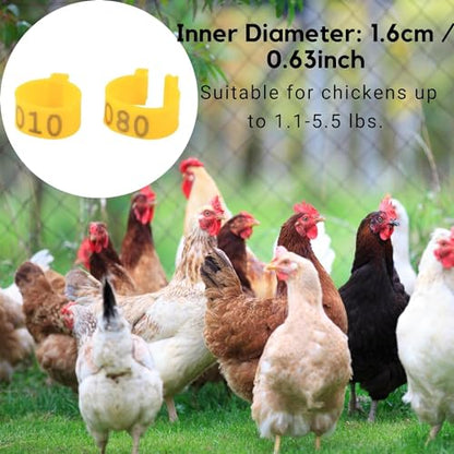 Poultry Leg Bands, 6 Colors 100PCS/Bag 16MM 001-100 Numbered Plastic Poultry Chickens Ducks Goose Leg Bands Rings for Chickens Gamefowl Turkey Duck Goose(Yellow) - color: Yellow