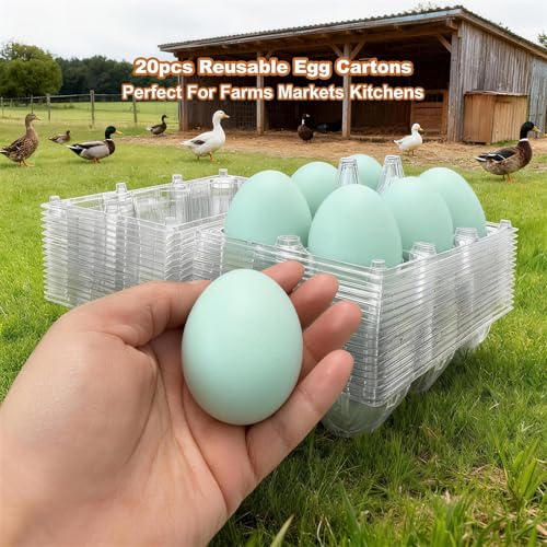 Clear Plastic Duck Turkey Jumbo Egg Storage Container, 6-Cell Cartons for Large Eggs, Reusable Refrigerator Tray (20)