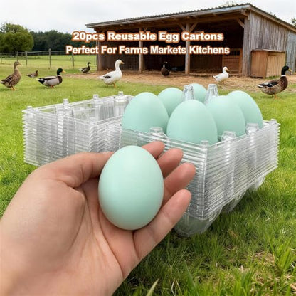 Clear Plastic Duck Turkey Jumbo Egg Storage Container, 6-Cell Cartons for Large Eggs, Reusable Refrigerator Tray (20)