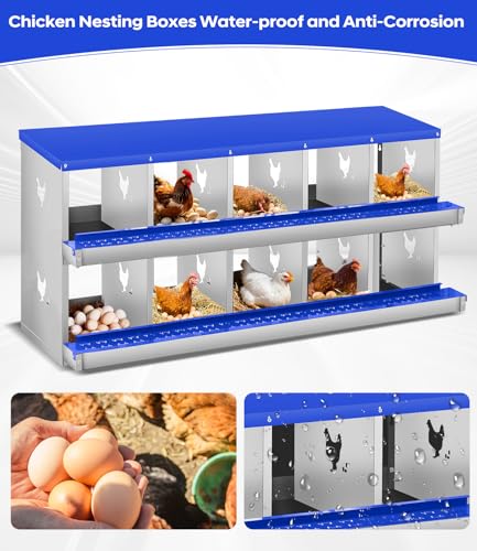 Garvee Chicken Nesting Box, 10 Compartment Metal Nesting Box,Wall Mount Chicken Nesting Boxes for Laying Eggs,Easy Egg Collection,10 Room Nest Boxes for Chickens - size: Blue 10 Compartment