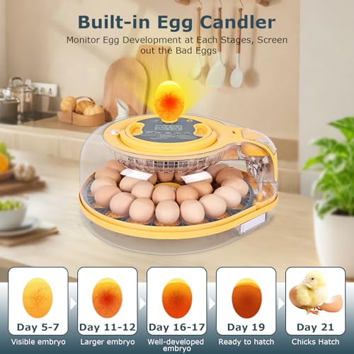 Egg Incubator, 26 Chicken/59 Quail Eggs Incubators for Hatching Eggs with Temp & Humidity Control, Auto Egg Turner, Adjustable Hatch Day & Air Vent, Egg Candler, Auto Water Refill, 360° Clear View - size: 26 Chicken Eggs