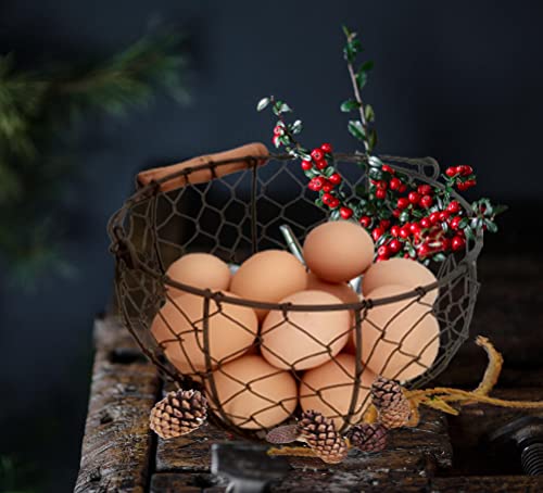 TAIANLE. Wire Egg Basket with Wooden Handle, Farmhouse Egg Collecting Basket Gathering Eggs Holds 1-3 Dozen – Kitchen Countertop, Chicken Coop, Easter & Gift - color: Rusty round mesh