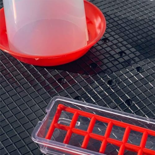 Hatching Time Poultry Starter Drinker, 12 oz, 350 ml, Clear PP Plastic (Polypropylene), Red Cup, Spill-Proof, Safe for Chicks, Add Vitamins, Perfect for Backyard Flock - style: 350 ml