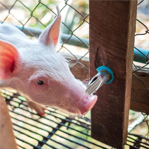 Pig Water Nipple 2Pcs Automatic Stainless Steel Pig Waterer Nozzle Thickened Anti-Splash Piglet Drinking Dispenser Livestock Farm Heavy-Duty Nipple(8X2.6X2CM) - size: 8X2.6X2CM