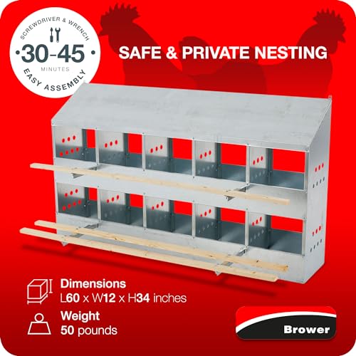 Brower 2-Tier 10-Hole Galvanized Steel Chicken Nesting Box, 50 to 60 Hen Capacity – Outdoor Poultry Laying Station with Hinged Folding Perches, Ventilated Design & Slanted Roof – Made in the USA - size: 10-Hole