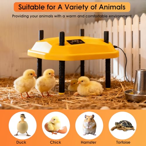 10 * 10inch Chick Brooder Heater Plate with Temperature Adjustable and Display,Adjustable Height & Angle Brooder Box for Baby Chicks Quail Duckling Chicken Heat Warmer Lamp Poultry Habitat Supplies - size: 9.0"L x 10.0"W x 10.0"H