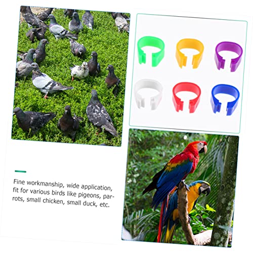 Hemoton 100pcs Bird Accessories Poultry Foot Band Rings Chicken Toys Blank Duck Bands Clip Leg Ring for Pigeon Parrots