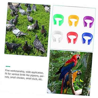 Hemoton 100pcs Bird Accessories Poultry Foot Band Rings Chicken Toys Blank Duck Bands Clip Leg Ring for Pigeon Parrots