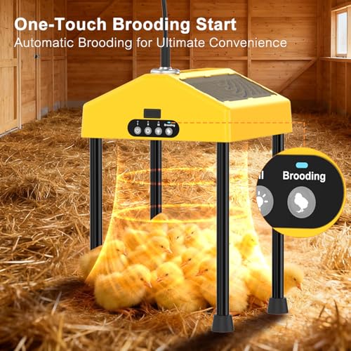 Chick Brooder Heater for Brooder Box,Automatic Brooding Chicken Brooder Warmer,3 Heat Settings,Detachable Hangable Poultry Heater with 3 Heat Settings,Built-in Light for Baby Chicks, Ducklings,Quails