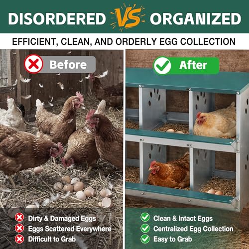 6 Compartment Metal Chicken Nesting Box with Roll Away Egg Collection 32×16×25in,Wall Mountable Large Hen Laying Box with Vented Holes,6 Houses Coop Roosting Boxes Fit for Different Poultry Breeds - size: 32×16×25in
