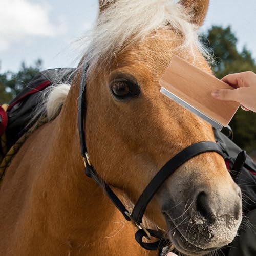 Ergonomic Horse Brush for Grooming Large Livestock Non-slip Handle Deshedding Tool and Cattle Moderate Curve Skin-friendly Cleaning Scraper with Massage Function