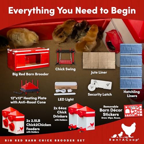 RentACoop Big Red Barn Chick Brooder Set with Heating Plate and Anti-Roost Cone, Two Chick Feeders, Two Chick Drinkers, Swing, Hatchling Liners, Jute Liner, LED Light, Security Latch