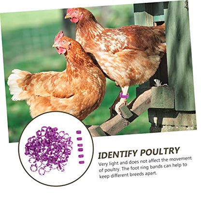 Kisangel 100pcs Chicken Leg Bands Numbered Leg Rings for Poultry Easy Identification Lightweight - color: Purple