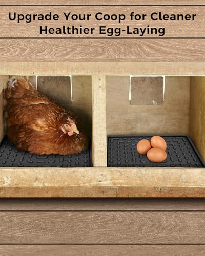 Washable & Reusable Nesting Pads for Chicken Coop - 4Pcs Chicken Nest Mats - Durable 12"x 12" Plastic Nest Box Pads for Egg Laying Hens (Soft, Easy Clean, Premium) - color: Black-4pcs