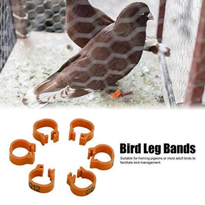 8mm Pigeon Leg Bands 0-100 Numbers Chicken Identification Leg Bands for Bantam Finch Dove Lovebird Coturnix Quail (Brown) - color: Brown