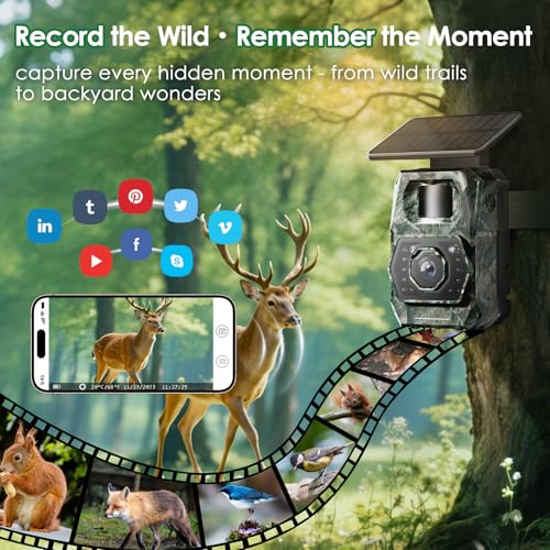 MAXDONE Solar Trail Camera WiFi Bluetooth - 4K 64MP Game Cameras with Night Vision Motion Activated IP66 Waterproof, with 5200mAh Battery and 32GB Memory Card Cameras for Outdoor and Backyard ﻿
