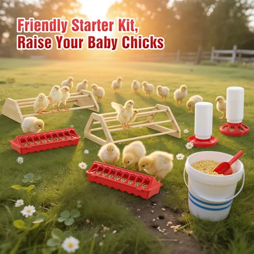 Pawaboo 7-in-1 Chicken Brooder Box for Chick Starter Kit, Includes Chicks Perches, Chicken Feeders, Chick Waterers, Chickens Feeding Spoon, Chicks Supplies (Brooder Set), Red + Wood Color - color: Red + Wood Color