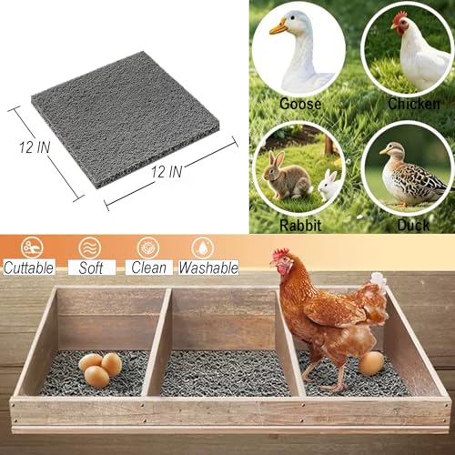 6 PCS Nesting Pads for Chicken Coop, Plastic Washable Chicken Nesting Pads, Premium Chicken Coop Accessories,12” x 12” Cuttable Chickens Nest Box Bedding Liners