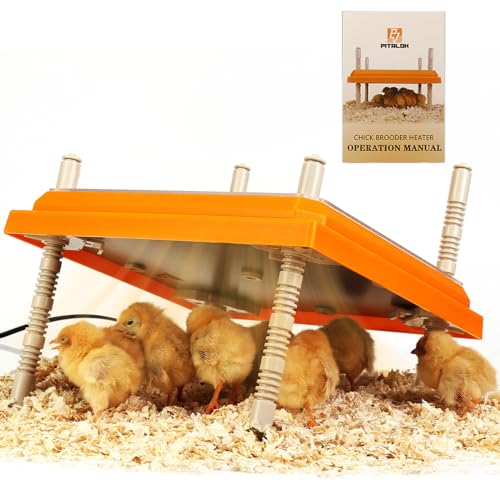 Brooder Heater for Chicks: Chick Brooder Heating Plate with Easy- Cleaning Plate Poultry Coop Heater Chicks Warmer 12" x 12" for 20 Chicks Adjustable Height Brooding Heater 22 Watts - color: Orange-12x12